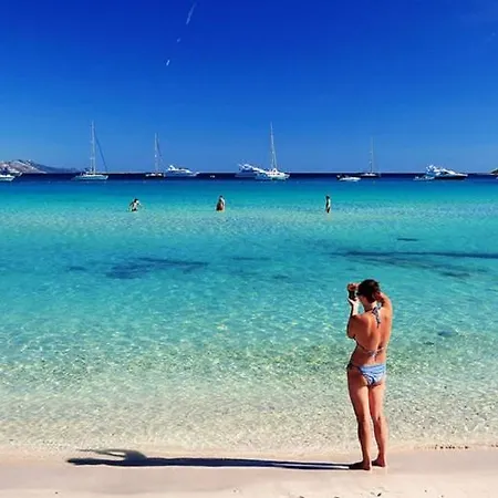 아파트 Ana Zaglav